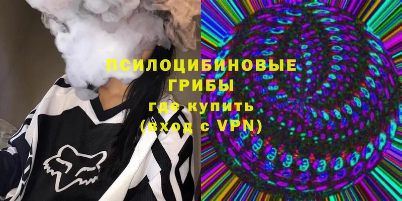 MEGA вход  Николаевск-на-Амуре  Псилоцибиновые грибы Magic Shrooms 